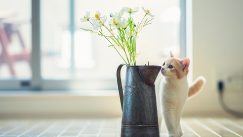 Котенок, ваза, цветы, паркет