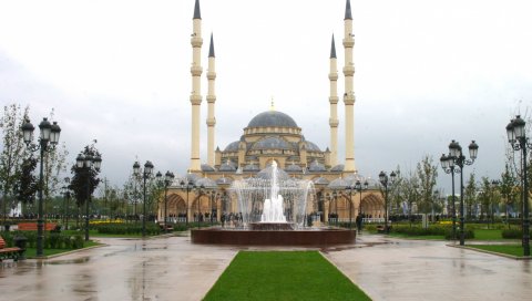 Чечня, грозный,