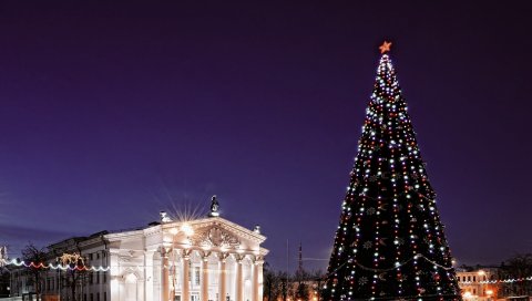 Гомель, площадь Ленина, дерево, областной драматический театр, ночь