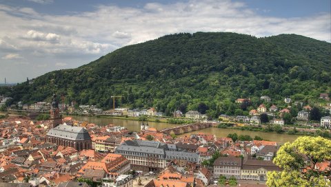 Heidelberg, Германия, река, мост, здания, лес, деревья, собор, пейзаж, панорама