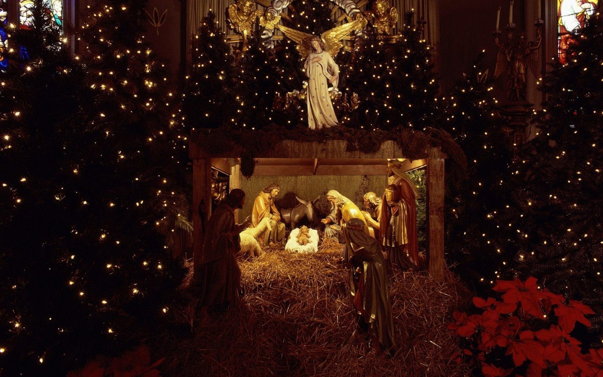 Можно 7 января. Рождество сочельник рождение Христа. С Рождеством католическим. С каталическимрождеством. Рождество у католиков.