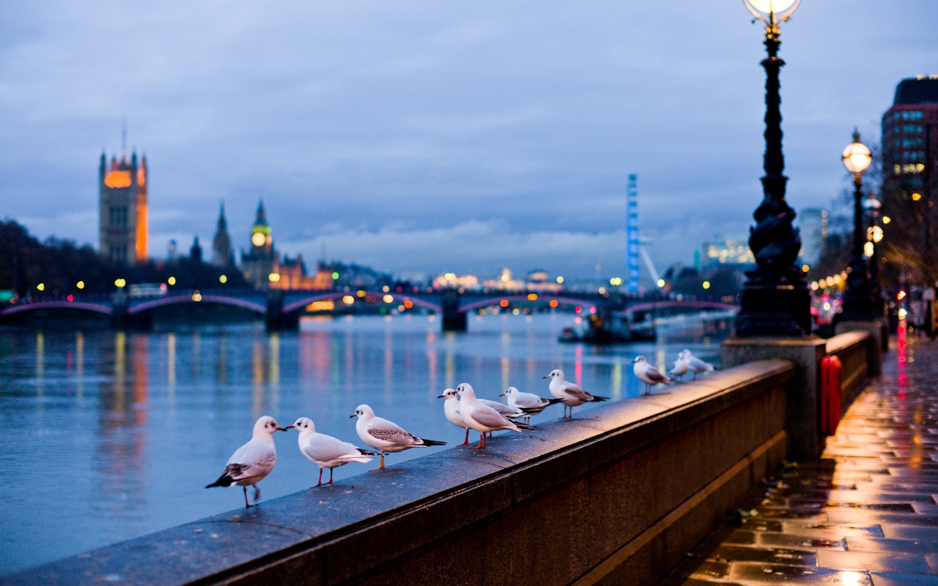 Картинки Город, лондон, англия, улица, река, чайки, лампы, свет, боке фото и обои на рабочий стол