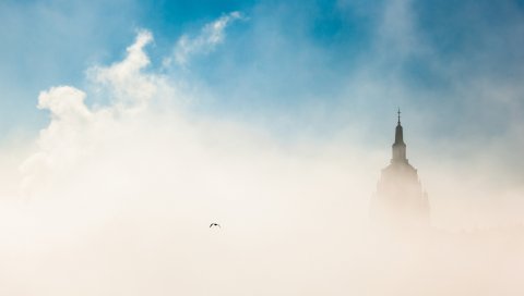 Город, будапешт, утро, туман, небо, птица