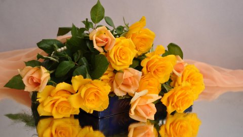 Розы, желтый, цветок, конфеты, ткань