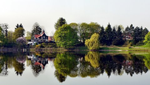 город, Герцберг, германия, травы, растения, природа, дерева, отражение, вода, озеро, пруд, река , дом ,