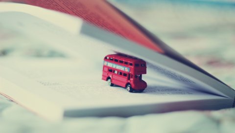 Книга, страница, игрушка, досуг