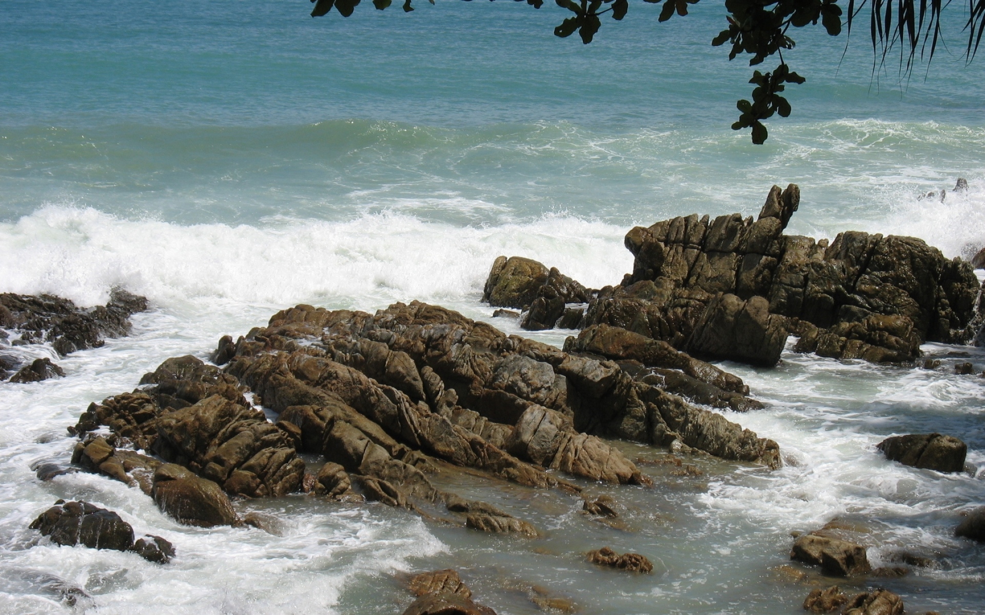 Картинки Камни, скалы, побережье, море, волны, порезы, ветви фото и обои на рабочий стол