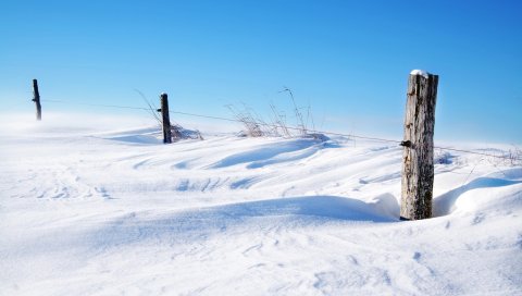 Колья, бревна, защита, снег, зима, проволока, солнечно, голубое небо