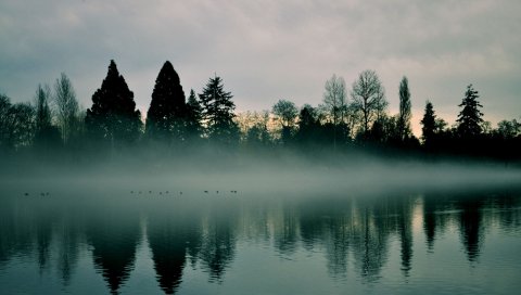 Озеро, вода, поверхность, туман