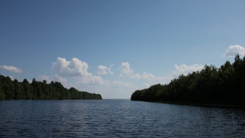 Карелия, река, побережье, лес, деревья
