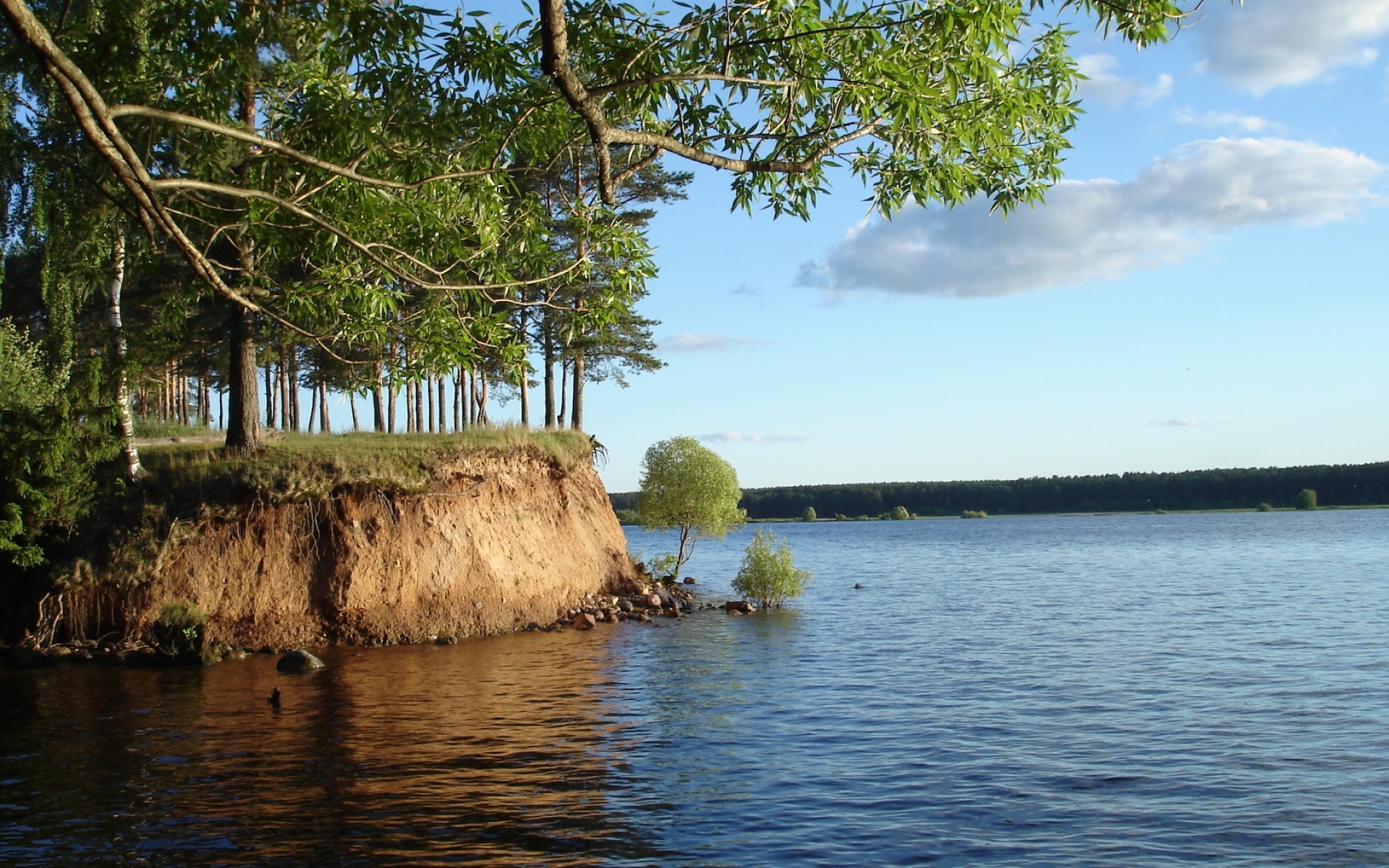 Картинки Река, вода, дерево, ветка, куст, берег, глина фото и обои на рабочий стол