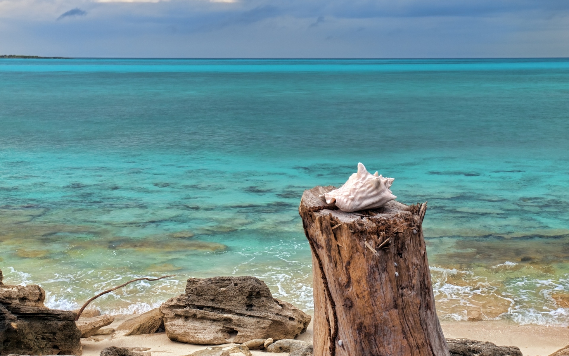 Картинки Заглушка, море, ракушка, рифы, голубая вода, горизонт фото и обои на рабочий стол