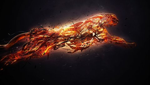 Леопард, узоры, линии, фон, темные