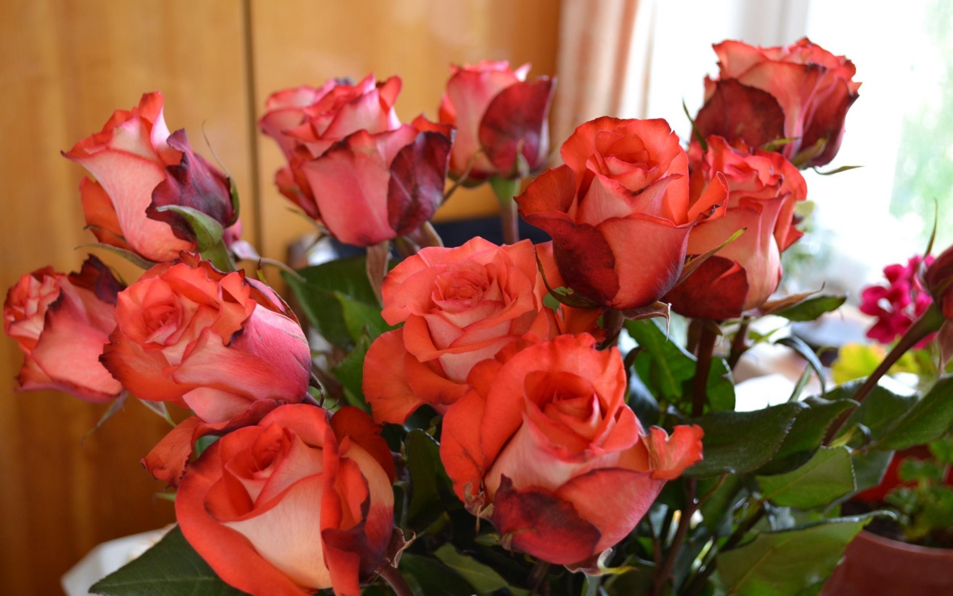 Картинки Розы, цветы, букет, бутоны фото и обои на рабочий стол