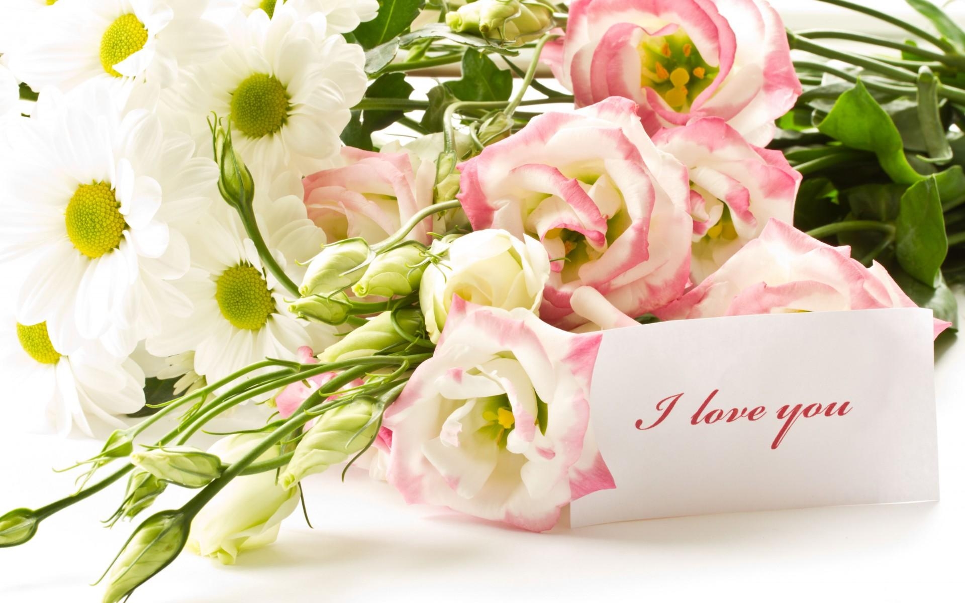 Картинки Розы, lisianthus russell, хризантемы, цветы, букет, примечание, принятие, любовь фото и обои на рабочий стол