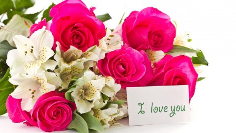 Розы, альстромерия, цветы, букет, заметка, признание, романтика