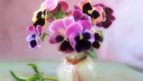 Анютины глазки, цветы, букет, ваза