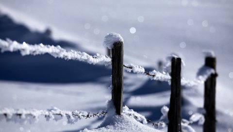 Колья, снег, защита, проволока, колючий, забор