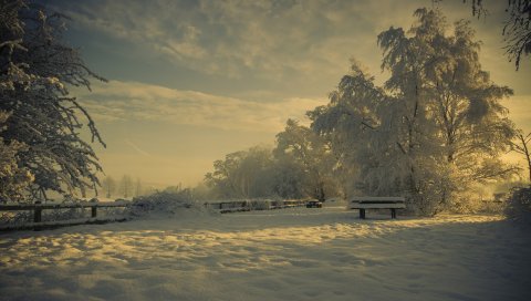 Поляна, снег, зима, деревья, иней, скамейка, сугробы, свет, тени