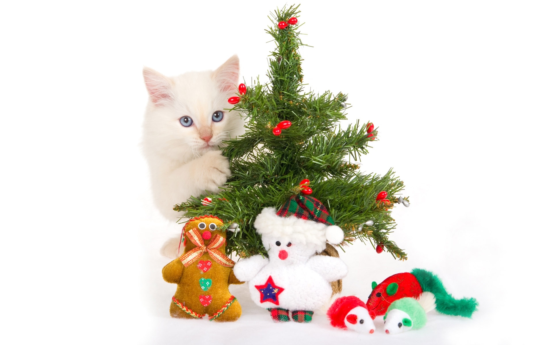 Картинки Котенок, новый год, рождественская елка, игрушки, игривый фото и обои на рабочий стол