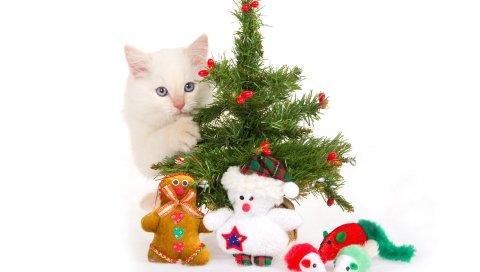 Котенок, новый год, рождественская елка, игрушки, игривый