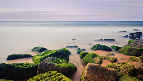 Камни, мох, вода, море, горизонт, линия