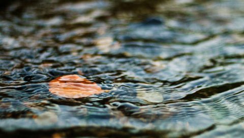 Вода, лист, рябь, волнение