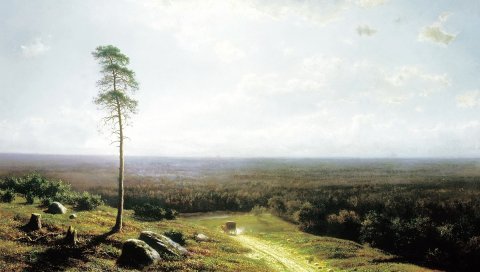 Падения, трек, мох, зеленый