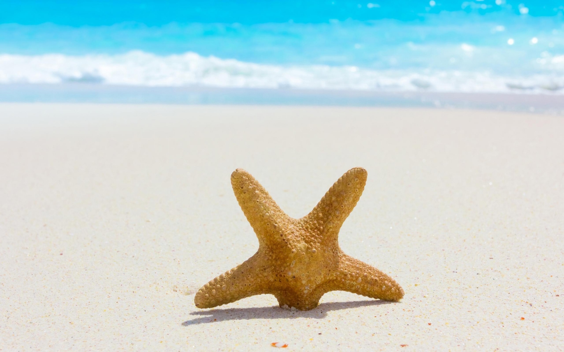 Картинки Морская звезда, песок, пляж, побережье, синий, залив фото и обои на рабочий стол