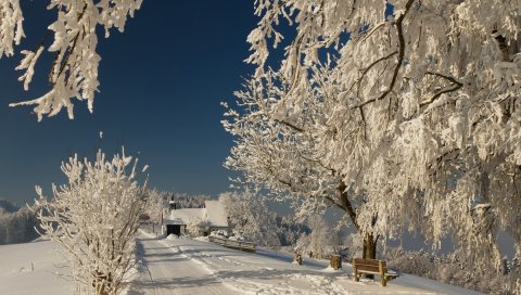 Оад, иней, ветви, зима, скамейка, солнечно