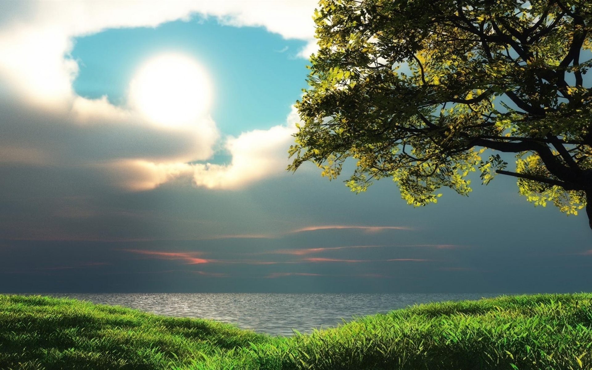 Картинки Солнце, дерево, облачно, блеск, побережье фото и обои на рабочий стол