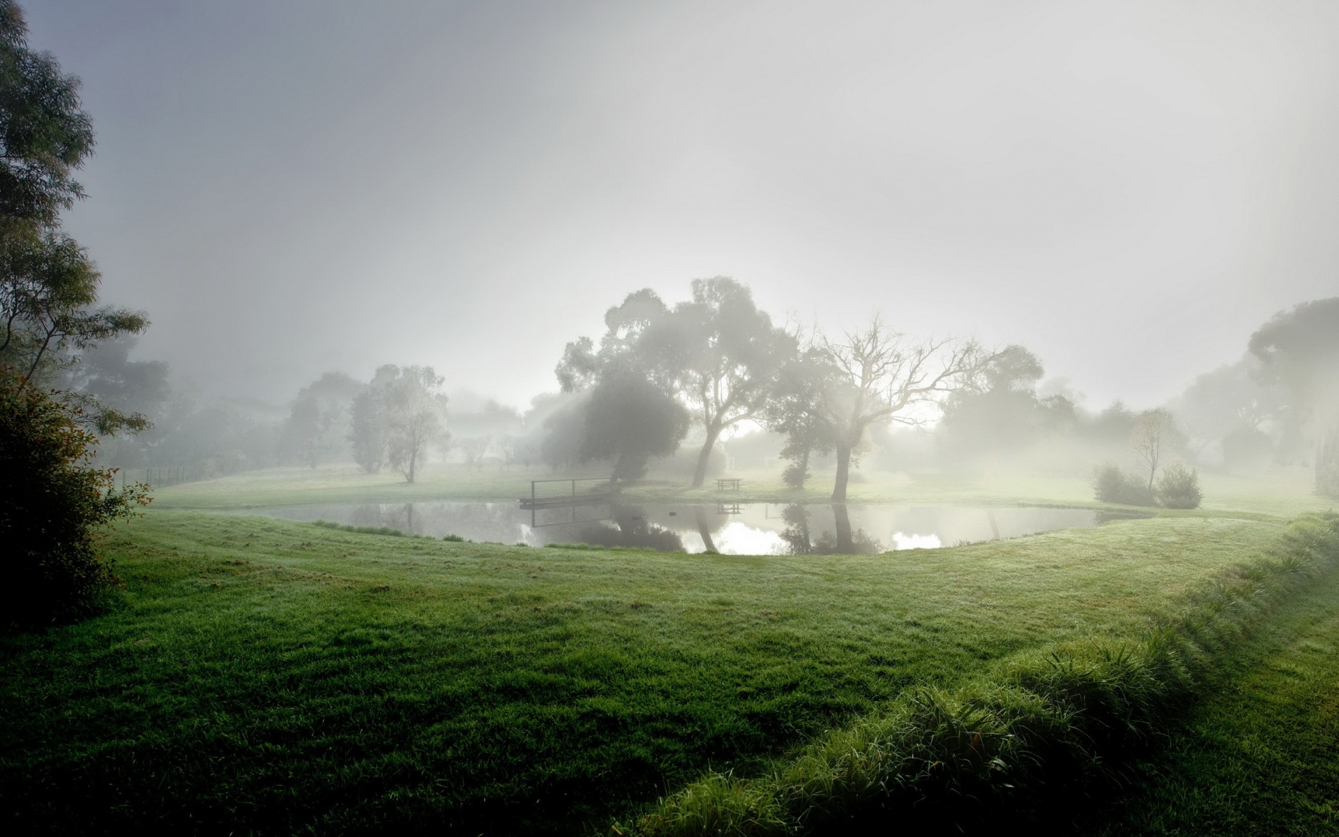 Картинки Пруд, туман, утро, водохранилище, деревья, лето, прохладно фото и обои на рабочий стол
