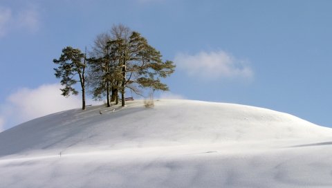 Холм, деревья, снег, метель, ветер, холод