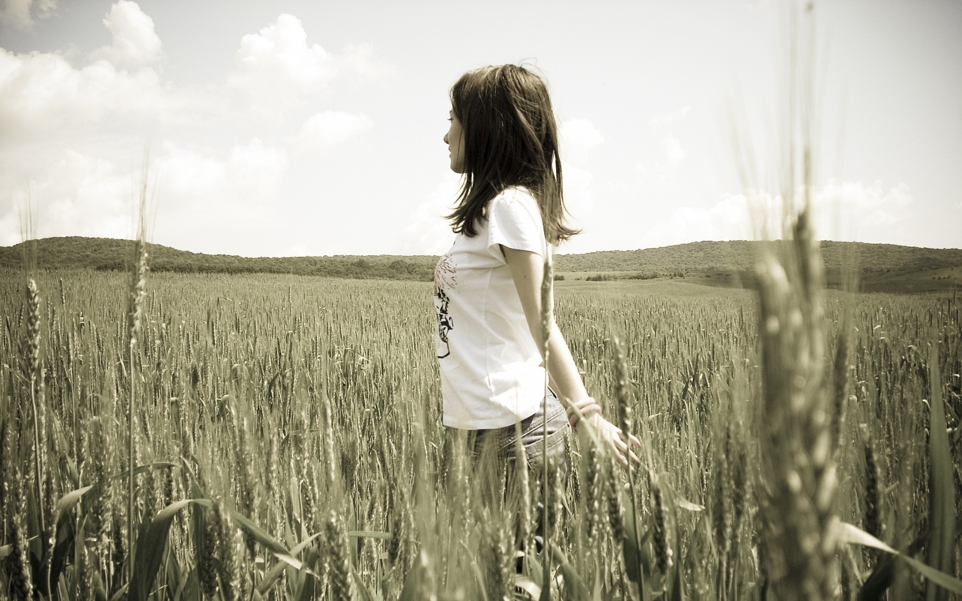 Картинки Девушка, поле, трава, прогулка фото и обои на рабочий стол