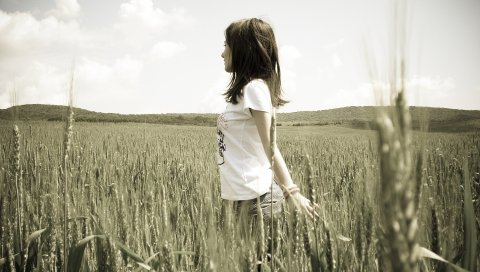Девушка, поле, трава, прогулка