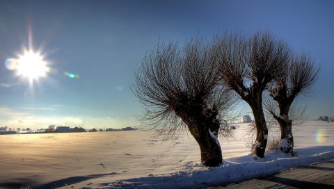 Деревья, солнце, свет, пятна света, стержни, снег