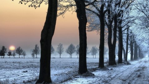 Дорога, закат, морозы, иней, деревья, солнце, вуаль