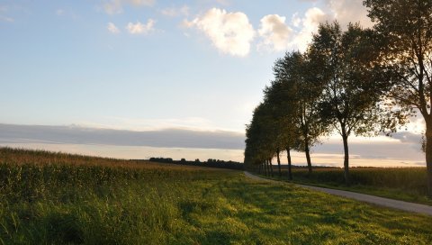 Дорога, деревья, поворот, небо
