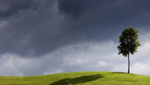 Дерево, одиночество, луг, облачно, облака, зеленый, тень
