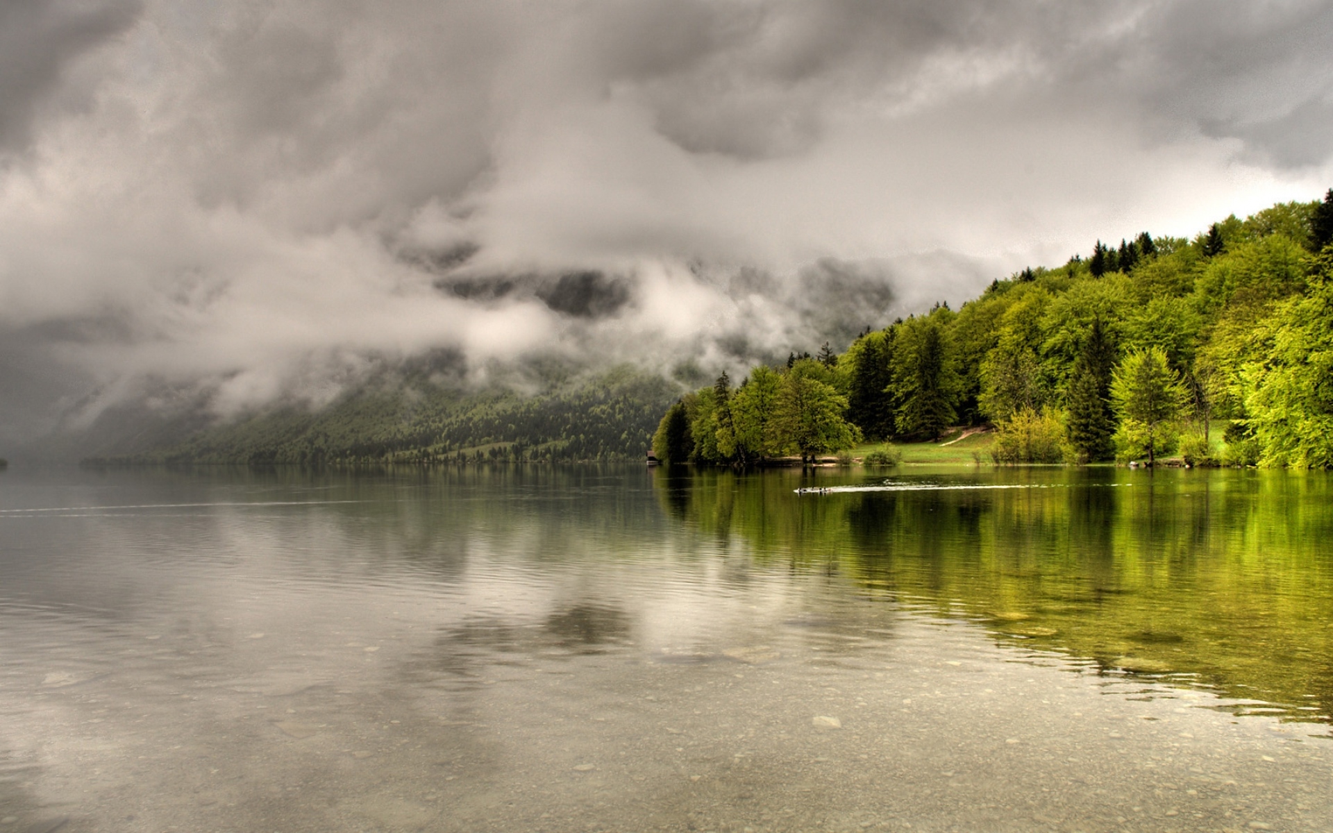 Грустное озеро. Туманный пейзаж. Пасмурный пейзаж. Дождь на озере. Берег озера.