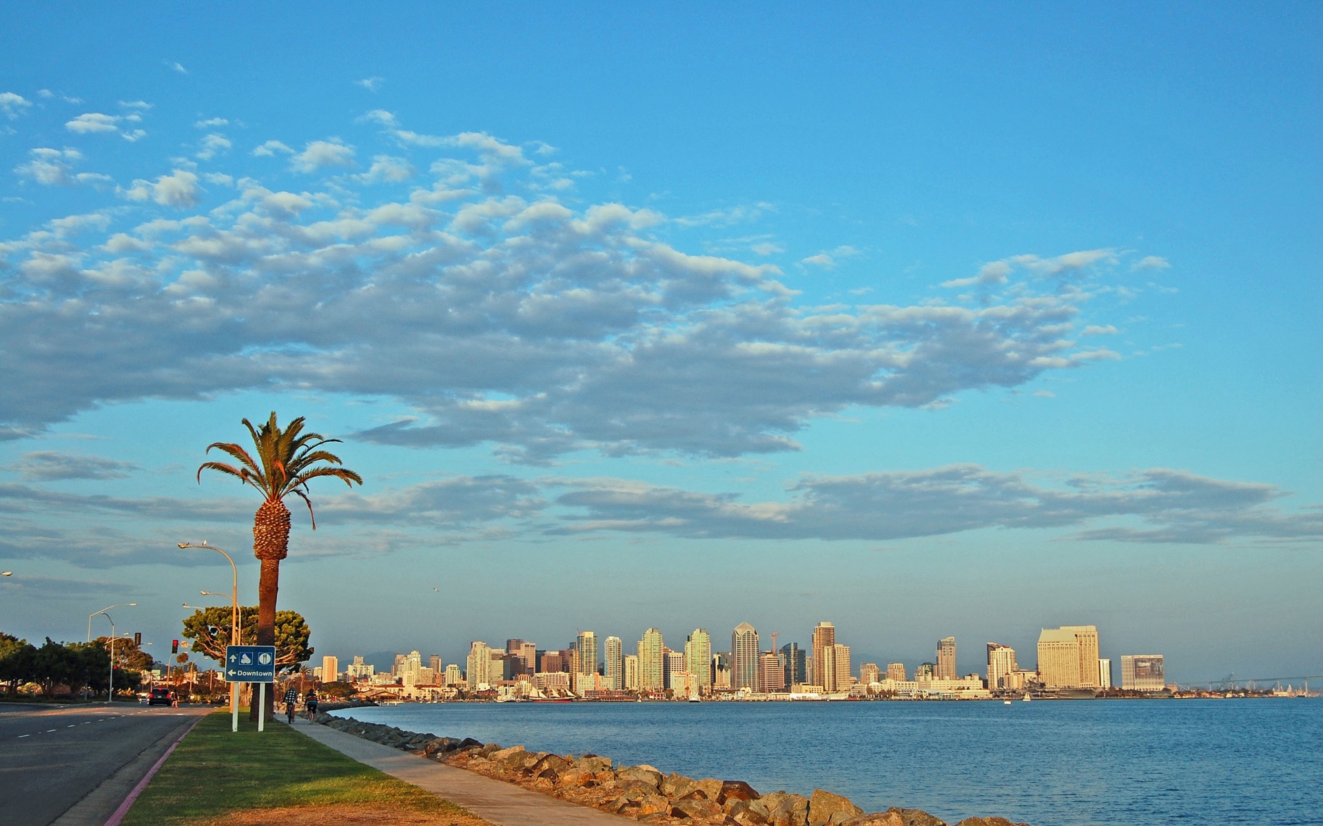 Картинки Сан-Диего, небоскребы, пляж, пальмы, калифорния, США фото и обои на рабочий стол