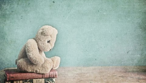 Игрушка, медведь, плюшевый, книги