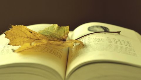книги,лист, осень, кладя