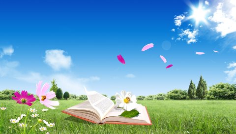книги, поле, цветы, летающий, небо, природа, настроение