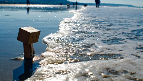 danboard, берег, пляж, картонный робот