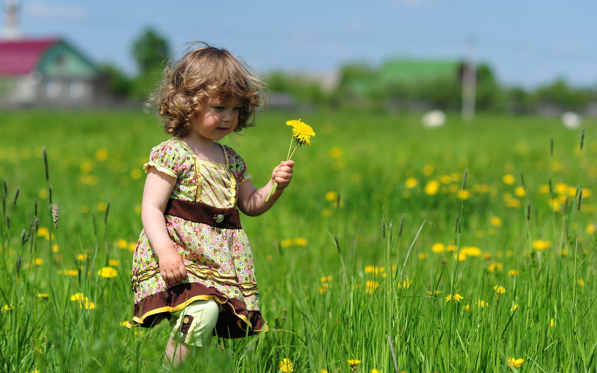 Картинки Ребенок, девушка, трава, поле, цветы, прогулка, платье, волосы фото и обои на рабочий стол