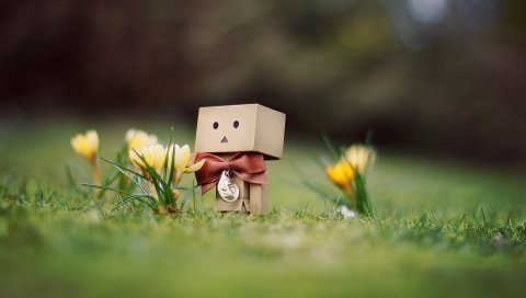 Danboard, картонный робот, цветы, трава, лук