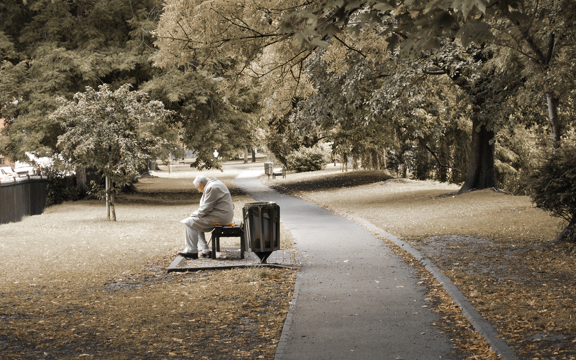 Картинки Парк, люди, старый, скамейка, сидеть, деревья, одиночество фото и обои на рабочий стол