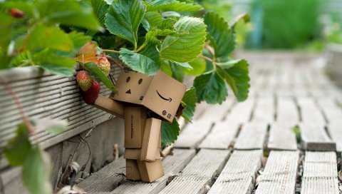 Danboard, картонный робот, клубника, ягоды, трава, прогулка