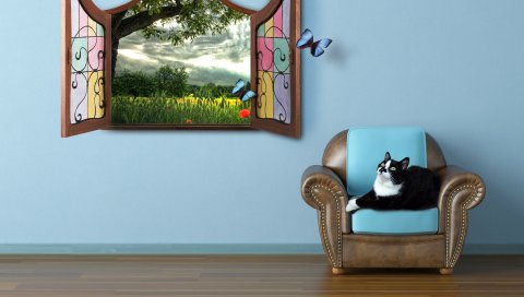 Кот, лето, окно, просмотр, сказка,